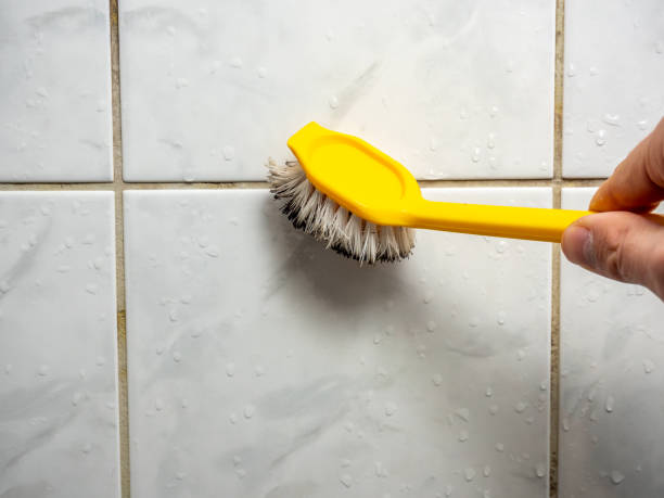 Best Certified Mold Removal  in Tamalpais Homestead Valley, CA