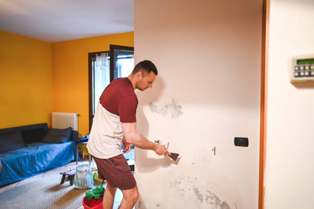 Best Same-Day Mold Removal  in Tamalpais Homestead Valley, CA